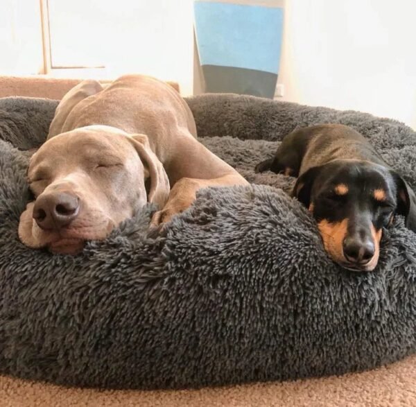 Calming Deep Sleep Pet Bed - Image 2